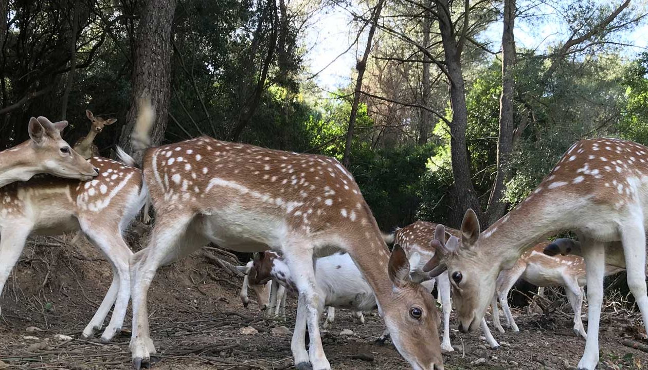 6 θεματικά πάρκα για φθινοπωρινές οικογενειακές αποδράσεις 