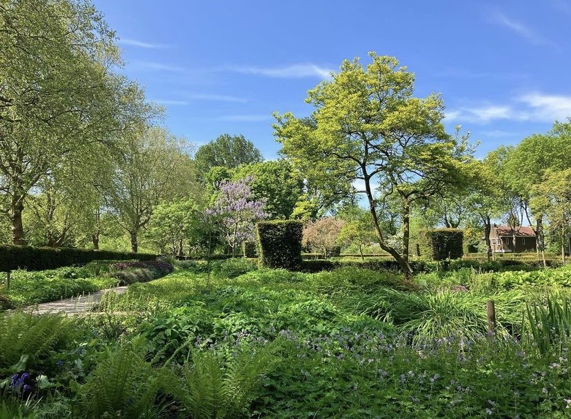 Darwin’s Flower Garden, Άμστερνταμ, Ολλανδία