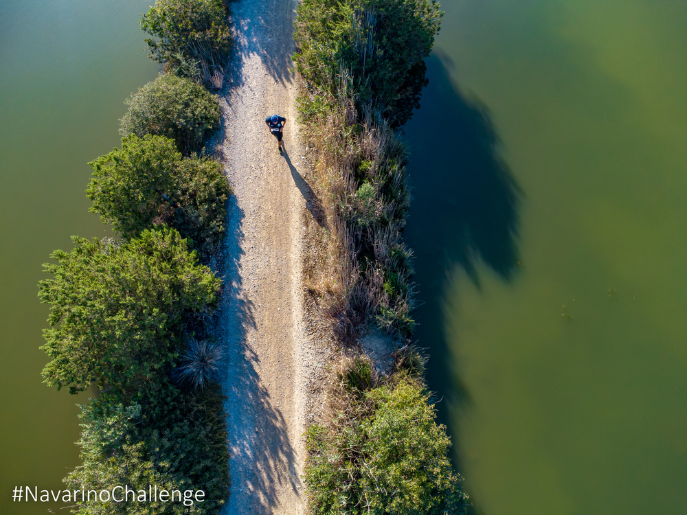 Navarino Challenge 