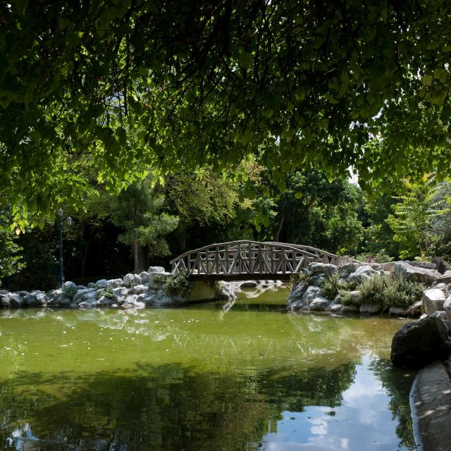 Εκπαιδευτικά προγράμματα στο Ίδρυμα Β. &amp; Μ. Θεοχαράκη (Ιούνιος 2024)