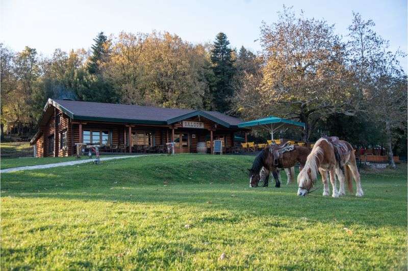 Saloonparkkarpenisi